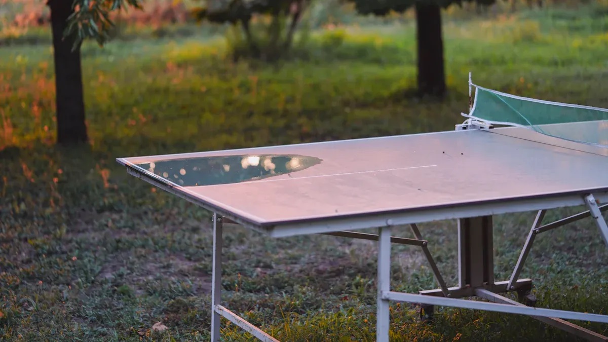 Table Tennis Table