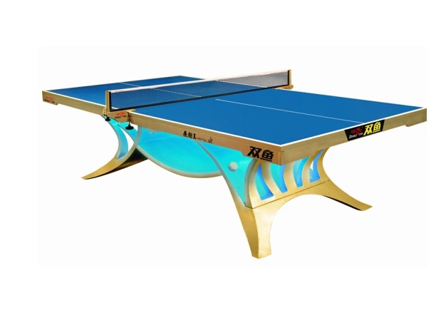 Professional Table Tennis Table
